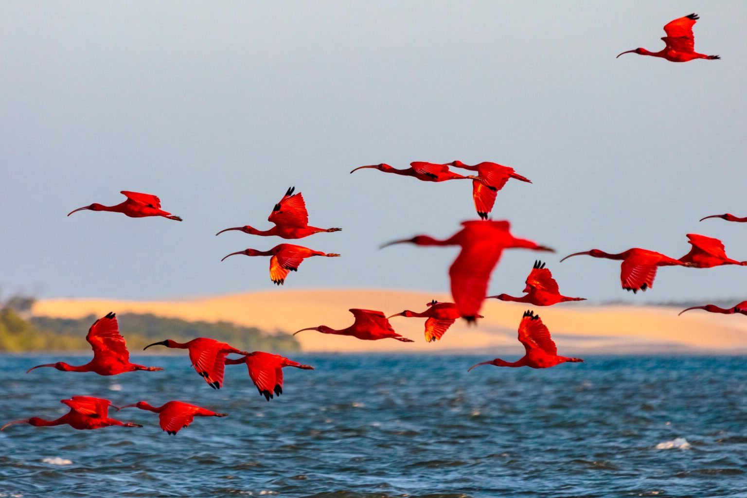 Circuits dans le delta du Parnaíba, Piauí, Brésil